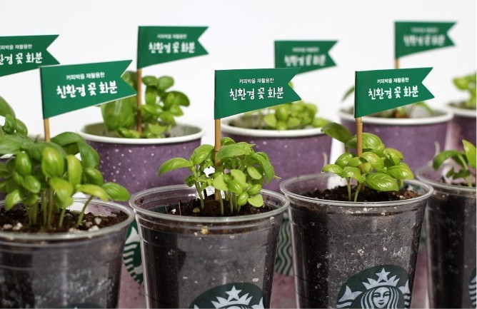 [20170906] 스타벅스 사진자료1_스타벅스 꽃화분 키트 이미지 컷.jpg