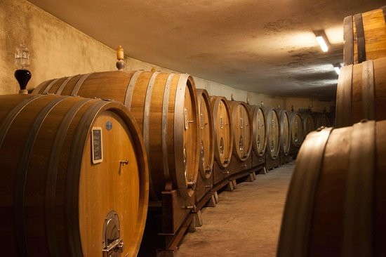 03 손진호 Giacomo Borgogno 셀러.jpg