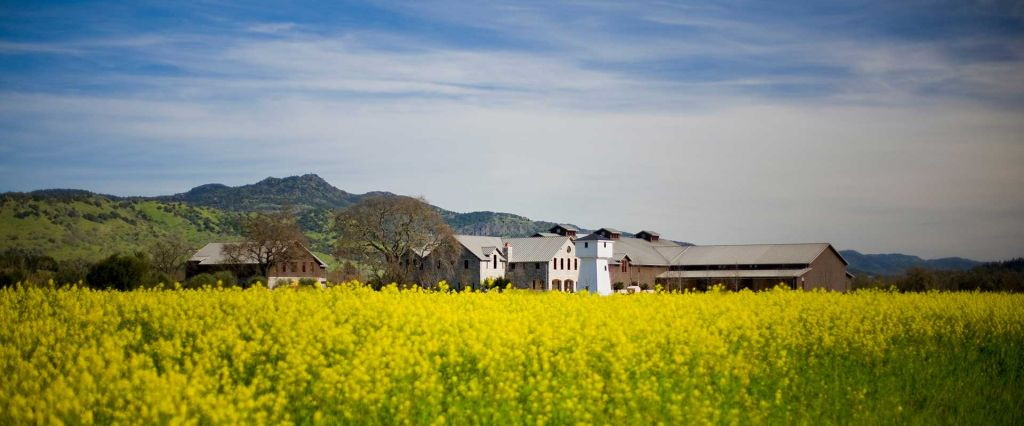 Silver Oak Cellars 01.jpg