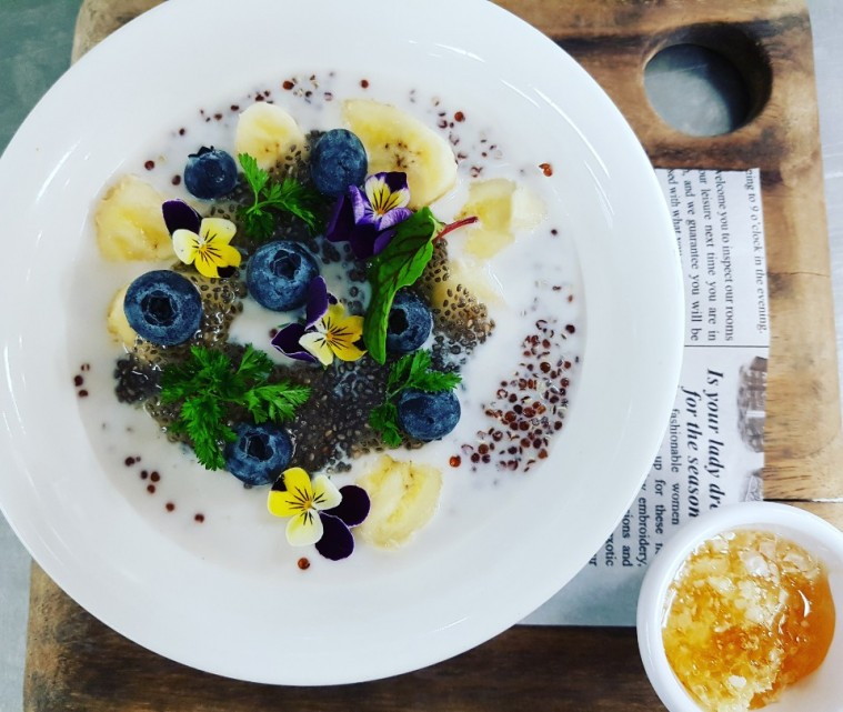 치아씨가 들어간 요거트.jpg