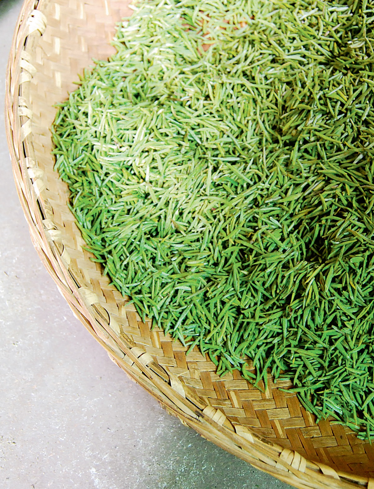 [호텔앤레스토랑] 정승호의 Tea Master 19_중국 6대 분류의 티 가공 ③_ 녹차 - 위조과정.jpg