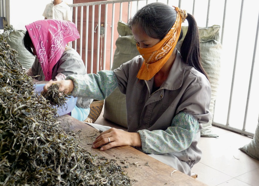 #5 분류 과정.jpg