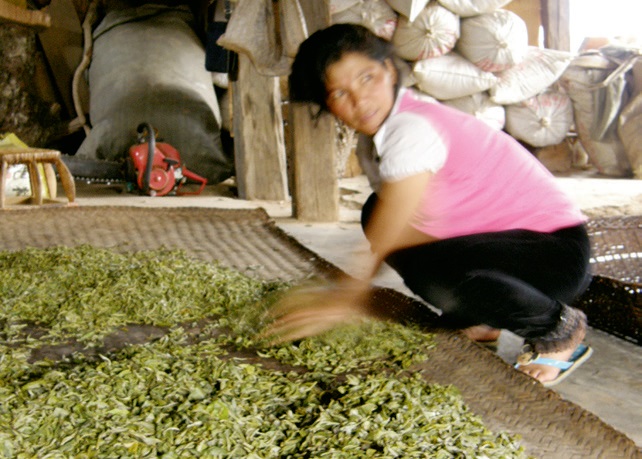 #3 유념 과정.jpg