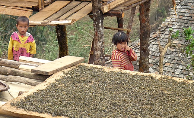 #1 위조 과정.jpg