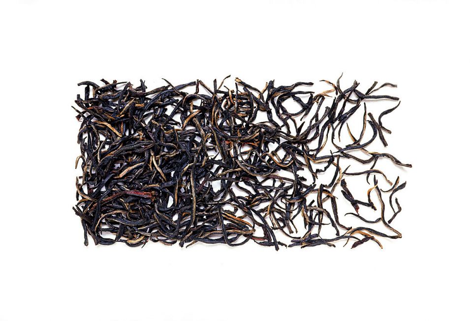 뉴 비타나칸데.jpg