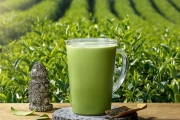 스타벅스의 제주산 유기농 말차 음료, 이제 매장에서 매일 즐길 수 있다