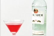 바카디 Bacardi